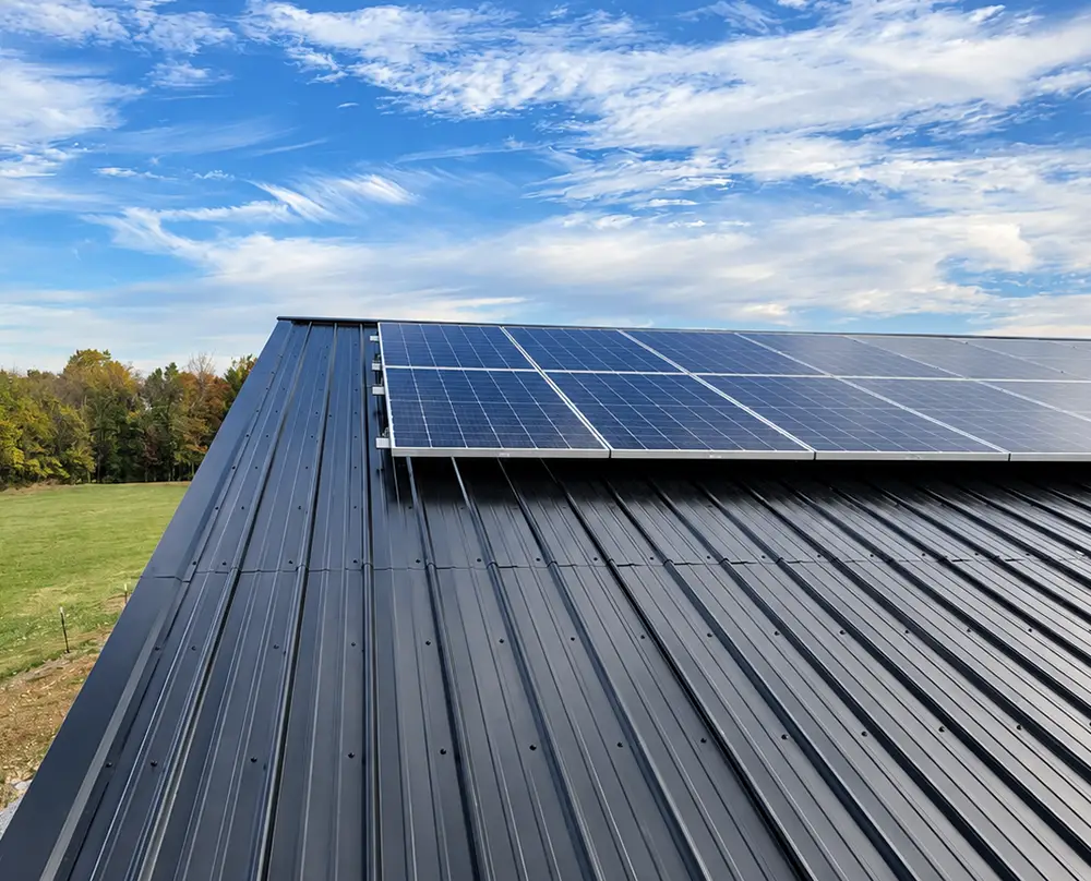 Rooftop solar panels overlooking a grassy field and trees in Belleville, IL and the Metro East.